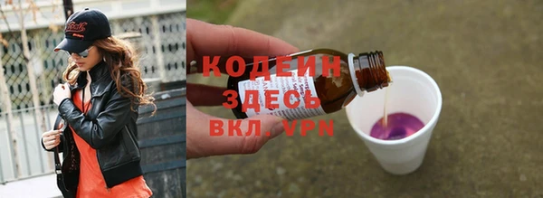 спиды Бородино