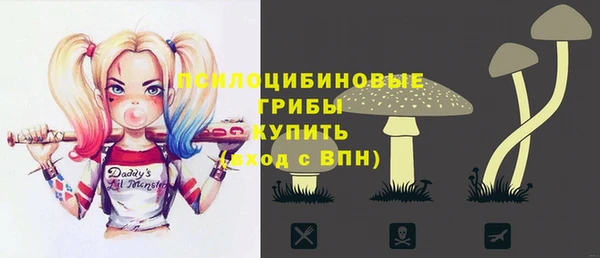 спиды Бородино