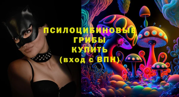спиды Бородино
