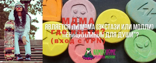 спиды Бородино