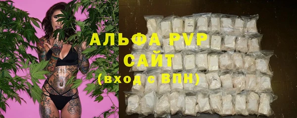 спиды Бородино