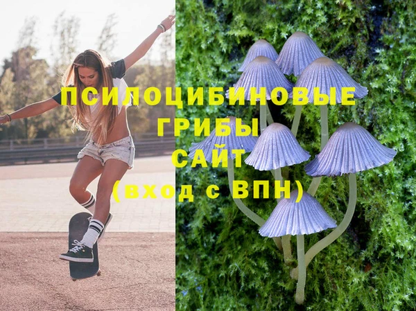 дурь Бугульма