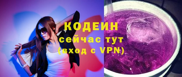 спиды Бородино