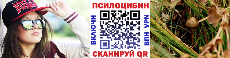 Купить где  Поворино  Галлюциногенные грибы мухоморы 